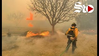 Incendios forestales han devastado más de 200000 hectáreas en Texas [upl. by Igenia]