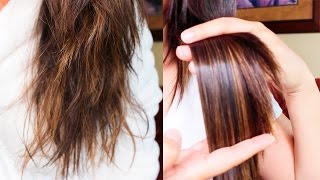 TRATAMIENTO CASERO PARA EL CABELLO SECO Y MALTRATADO CABELLO SIN FRIZZ Y SIN PUNTAS ABIERTAS [upl. by Philbin524]