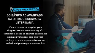 Super Aula Ultrassonografia em Pequenos Animais do Básico ao Avançado [upl. by Peisch]