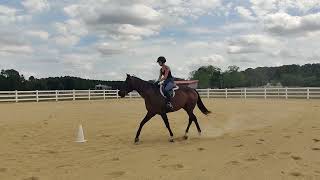 show 2 2024 caylee Ostendorf equitation pattern [upl. by Nador661]