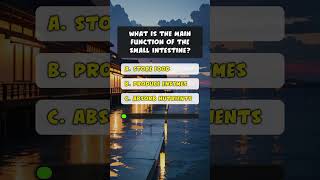 Health Quizzes 7 Quick Health Questions Everyone Should Know Part 4 quiz quizgame shorts [upl. by Allcot]