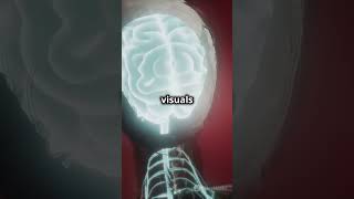 Tripping on LSD The Illusions You Can’t Shake youtubeshorts foryou health facts drugeducation [upl. by Leasia]