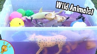 Learn Wild Animal Names and Colors in Purple Water by SquisheeNugget [upl. by Trebled]