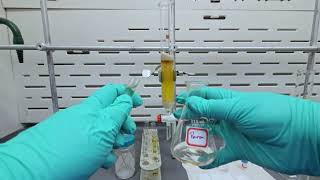 Isolating pnitrothymol via Column Chromatography [upl. by Maryanne]