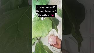 6 Fragrances Id Repurchase In A Heartbeat 💓 shorts topfragrances perfume [upl. by Hyacintha570]