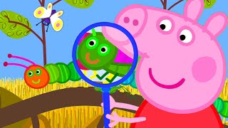 Tant dinsectes   Peppa Pig Français Episodes Complets [upl. by Alegnad]