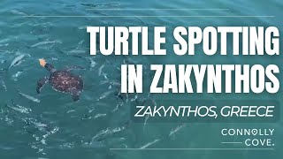 Turtle Spotting in Zakynthos  Greece  Caretta Caretta Turtles  Loggerheads  Travel Vlog [upl. by Fair]