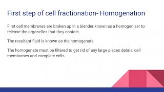 CELL FRACTIONATION For AQA Edexcel OCR A Level Biology [upl. by Ainehta721]