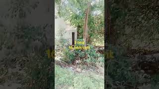 Land for Sale  Nagercoil  Alphonsa School  Kanyakumari  West facing 25 feet road  9894708317 [upl. by Odnala]