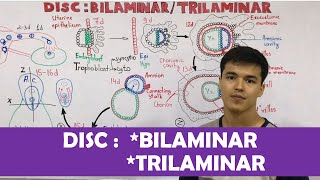 Embryology  DISC Bilaminar  Trilaminar [upl. by Sheri261]