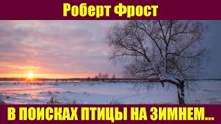 Роберт Фрост  В поисках птицы на зимнем закате [upl. by Nalyt835]