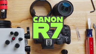 Canon R7  Underwater Housing Assembly Ikelite 200DLM [upl. by Corny147]