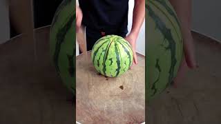 Amazing Watermelon cutting Trick  Chinese style shorts chefsufiyan chefsufiyan [upl. by Nomannic653]