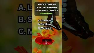 🌸 Blooming Knowledge Home Gardening Quiz 🌿quiz gardening [upl. by Atteuqnas]