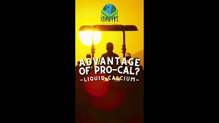 Advantage of Liquid Calcium [upl. by Sailesh]