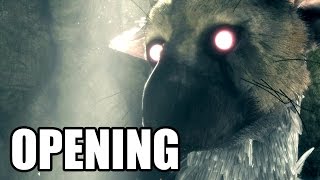 THE LAST GUARDIAN  Opening  No Commentary [upl. by Boggs834]