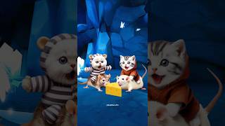 Gecko are annoying no matter where they are cutecat catvideos catlover [upl. by Neiluj]