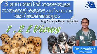 Puppy Care below 3 Months  Malayalam  Dr Aswathy  Dog Care 1  Anything About Animals [upl. by Ailemor689]