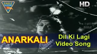 Anarkali Hindi Movie  Dil Ki Lagi Video Song  Pradeep Kumar Bina Rai  Eagle Hindi Movies [upl. by Spooner544]