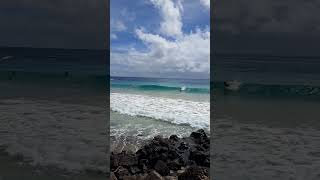 Boogie Board Beach at Poipu Beach Park [upl. by Nalaf]