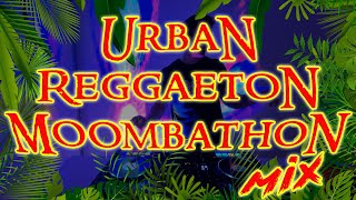 Urban Reggaeton Moombahton Live Set  DJ Smack Delicious [upl. by Regnig]