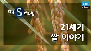 21세기 쌀 이야기 다큐S프라임  YTN 사이언스 [upl. by Burnsed]