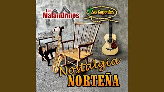 Mis Sueños Son Norteño [upl. by Alemak]