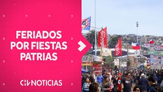 Fiestas Patrias 2023 ¿Cómo y en qué horarios funcionará el comercio  CHV Noticias [upl. by Ardnasirk860]