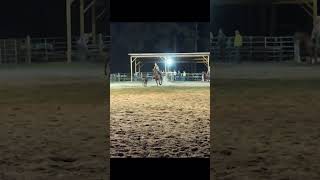 A little roping practice ropinghorsesrodeo [upl. by Brucie]