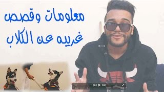 معلومات وقصص غريبه عن الكلاب  مع كلبي [upl. by Penthea]