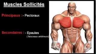 Exercice musculation Pectoraux  quot Écarté incliné haltères quot [upl. by Owades]