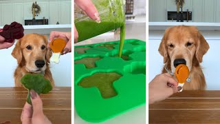 How to Make Healthy Dog Treats ASMR [upl. by Tayler]