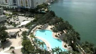 The Flamingo  South Beach Miami [upl. by Tews219]