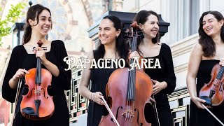 WEDDING SONG  Live String Quartet  Papageno Area [upl. by Eignat]