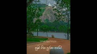 රන්තාලිය වැව ලග ❤ ranthaliya wewa laga Whatsapp Music [upl. by Yazbak406]