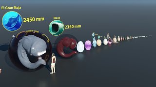 Monster Egg size comparison [upl. by Allemac]