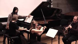 Bartok Contrasts clarinet trio [upl. by Brightman]