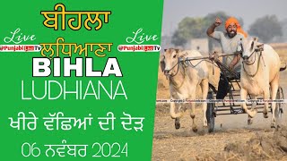 🔴Live ਬੀਹਲਾ ਲੁਧਿਆਣਾ ਖੀਰੇ ਵੱਛਿਆਂ ਦੀ ਦੋੜ 06 ਨਵੰਬਰ 2024 [upl. by Aivan]