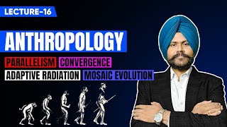 Anthropology Optional UPSC Mains Lecture 16  Human evolution amp emergence of man [upl. by Nollek726]