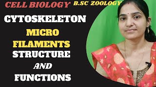 Cytoskeleton Structure and function microfilament Bsc 1st yearcytoskeletonmicrofilamentgnb [upl. by Isador523]