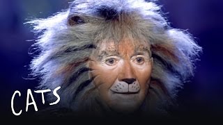 The Jellicle Ball dance  HD from Cats the musical  the film [upl. by Lalat]