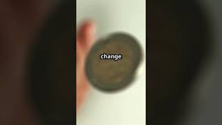 Inertia Made Simple Fun Physics Trick sciencefun physicsmagic diyexperiment learnsomethingnew [upl. by Ardnosak]