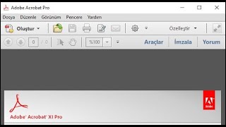 Acrobat Pro Portable sürükleyerek içine bırakma hatası [upl. by Ocko903]