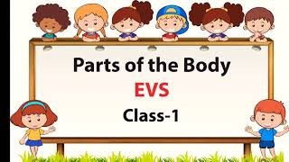 Parts Of The Body EVS Class 1 My Body [upl. by Aysahc]