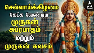 Tuesday Murugan Tamil Devotional Songs  Palani Thiruchendur Tiruthani Pazhamudircholai [upl. by Schoening336]