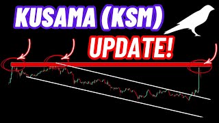 Kusama Crypto Coin KSM Update [upl. by Duyne208]