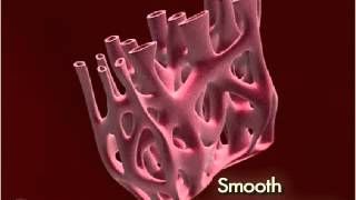 Endoplasmic Reticulum Smooth 3D [upl. by Glyn]