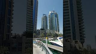 dubai marina [upl. by Schwing]