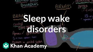 Sleep wake disorders breathing related sleep disorders  Behavior  MCAT  Khan Academy [upl. by Mazlack]