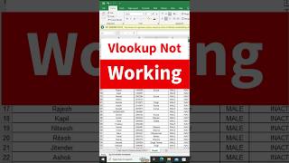 Vlookup not working excel [upl. by Annawek]